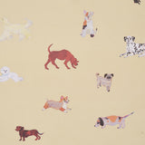 Schumacher Dogs Butter Wallpaper