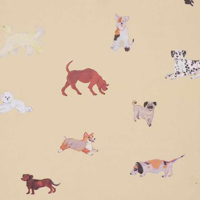Schumacher Dogs Butter Wallpaper