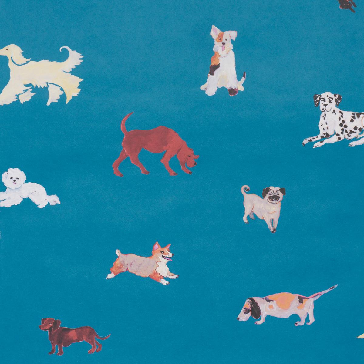 Schumacher Dogs Cerulean Wallpaper