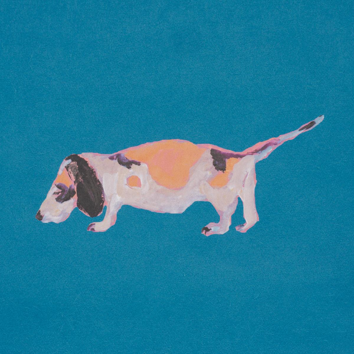 Schumacher Dogs Cerulean Wallpaper
