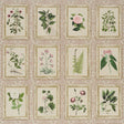 Schumacher Garden'S Trust Blushed Oyster Wallpaper