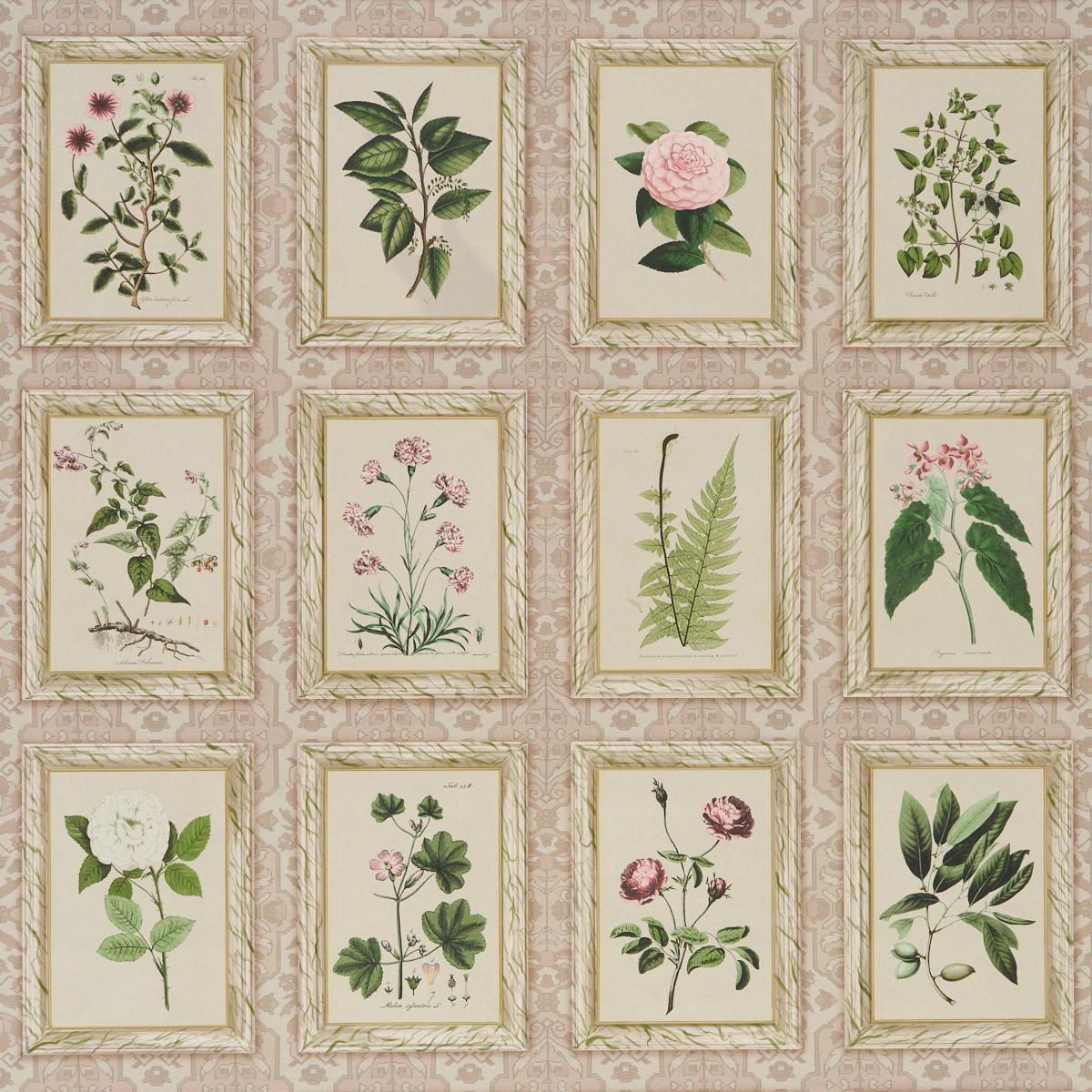 Schumacher Garden'S Trust Blushed Oyster Wallpaper