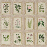 Schumacher Garden'S Trust Blushed Oyster Wallpaper