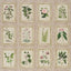 Schumacher Garden'S Trust Blushed Oyster Wallpaper