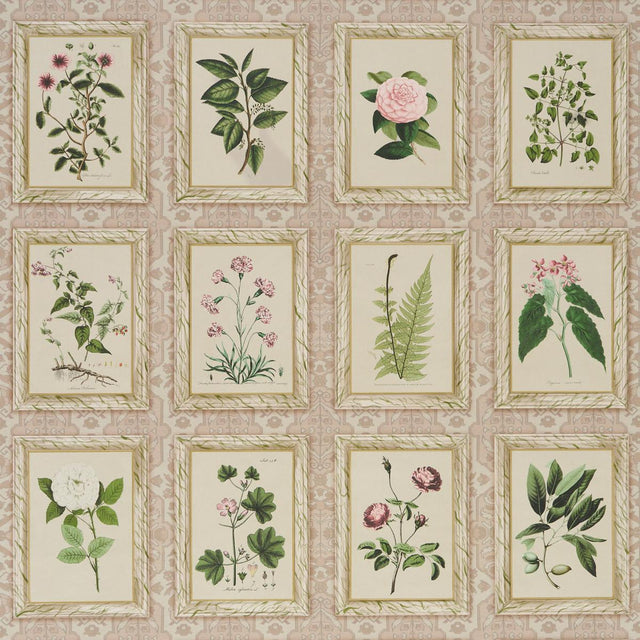 Schumacher Garden'S Trust Blushed Oyster Wallpaper