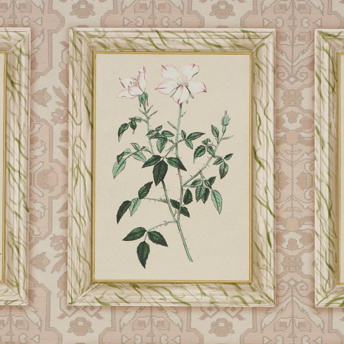 Schumacher Garden'S Trust Blushed Oyster Wallpaper