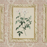 Schumacher Garden'S Trust Blushed Oyster Wallpaper