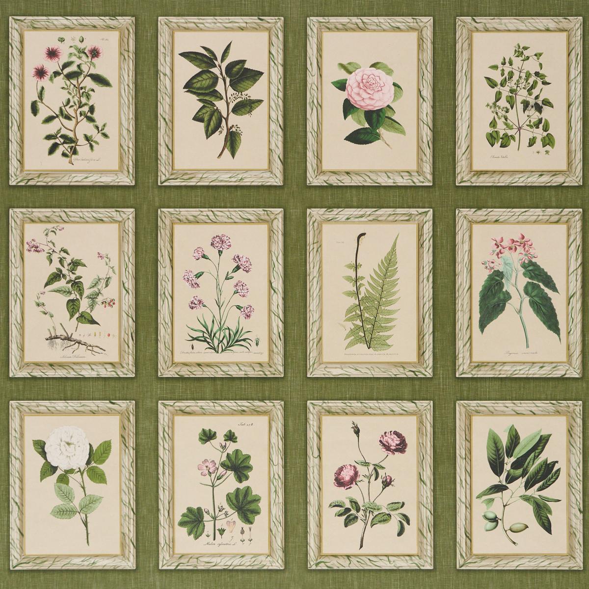 Schumacher Garden'S Trust English Green Wallpaper