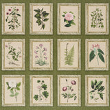 Schumacher Garden'S Trust English Green Wallpaper