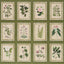 Schumacher Garden'S Trust English Green Wallpaper