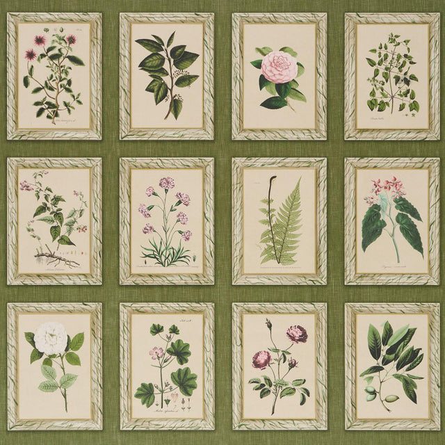Schumacher Garden'S Trust English Green Wallpaper