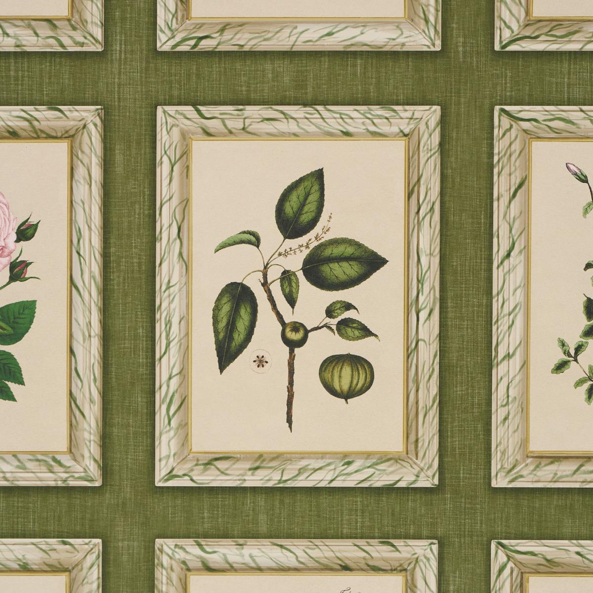 Schumacher Garden'S Trust English Green Wallpaper