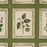 Schumacher Garden'S Trust English Green Wallpaper