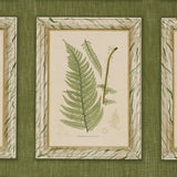 Schumacher Garden'S Trust English Green Wallpaper
