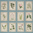 Schumacher Garden'S Trust Porcelain Blue Wallpaper