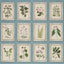 Schumacher Garden'S Trust Porcelain Blue Wallpaper