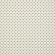 Schumacher Robyn Green Fabric