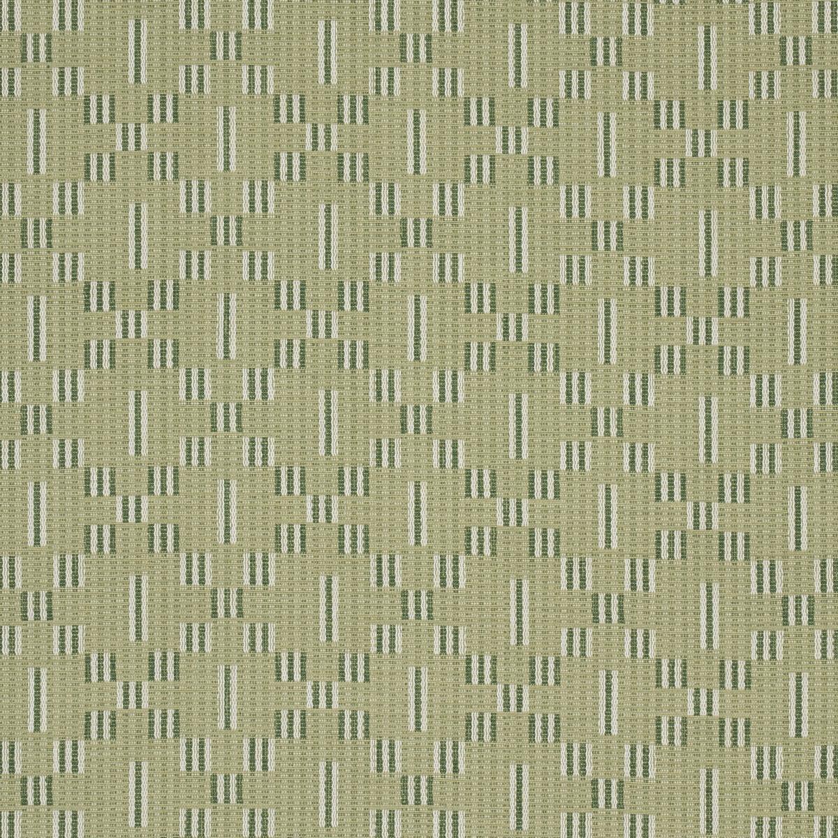 Schumacher Austin Green Fabric