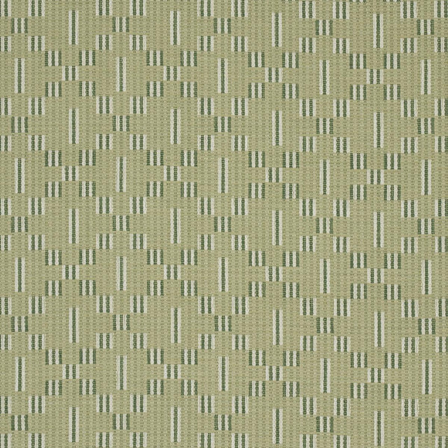 Schumacher Austin Green Fabric