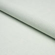 Schumacher Asher Aqua Fabric