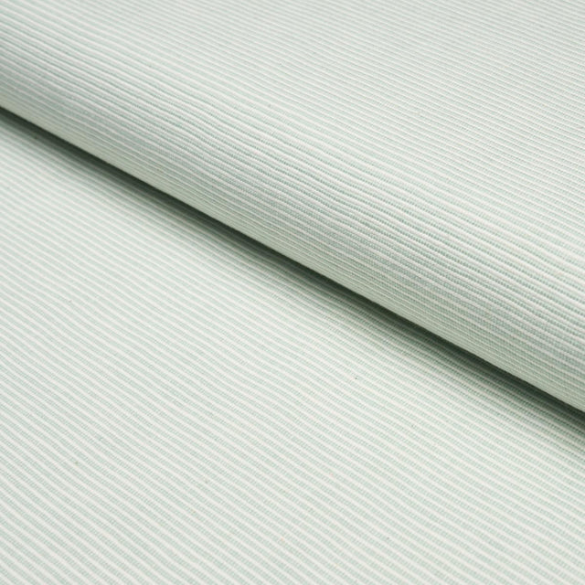 Schumacher Asher Aqua Fabric