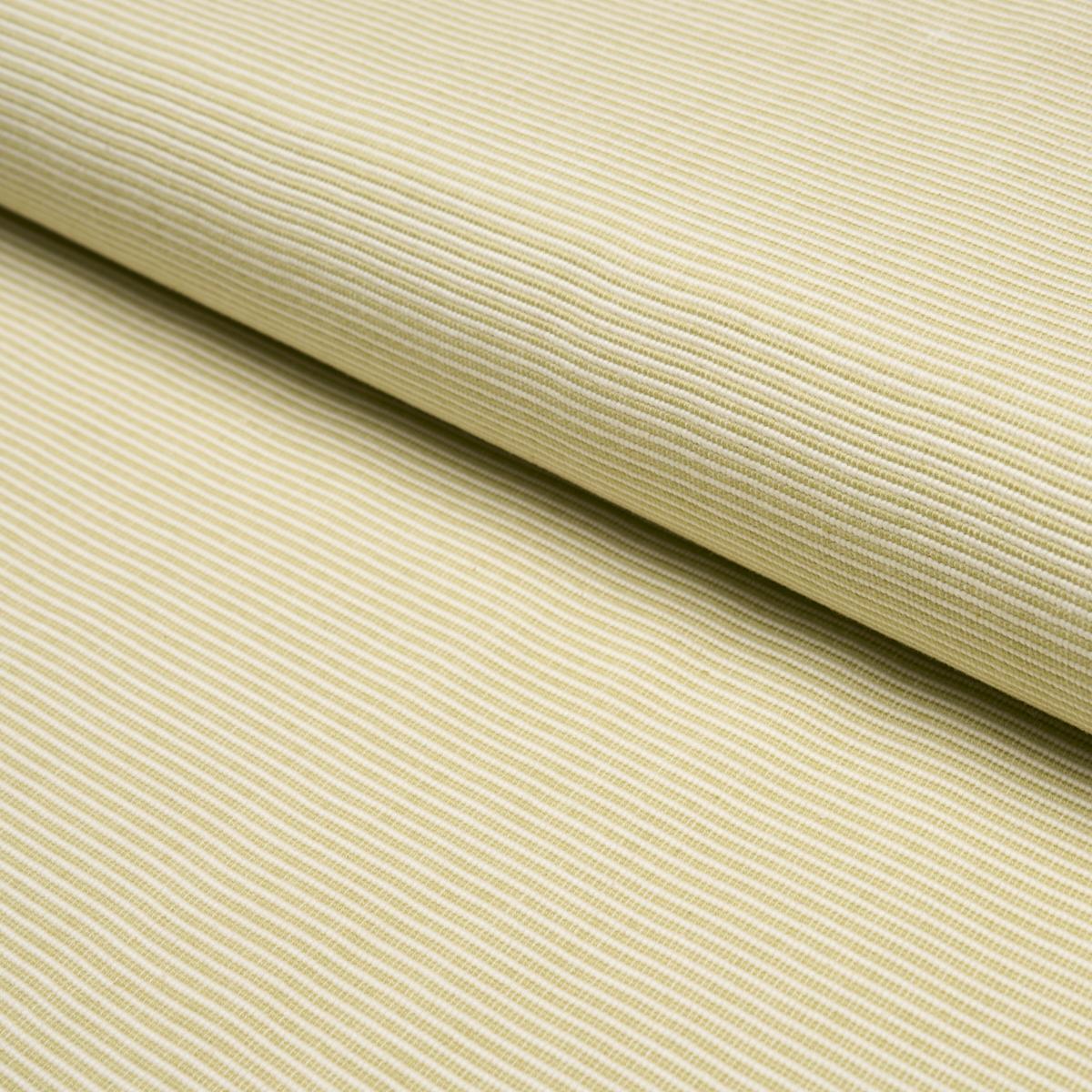 Schumacher Asher Leaf Fabric