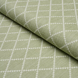 Schumacher Liam Sage Fabric
