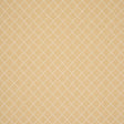 Schumacher Liam Yellow Fabric