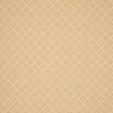 Schumacher Liam Yellow Fabric
