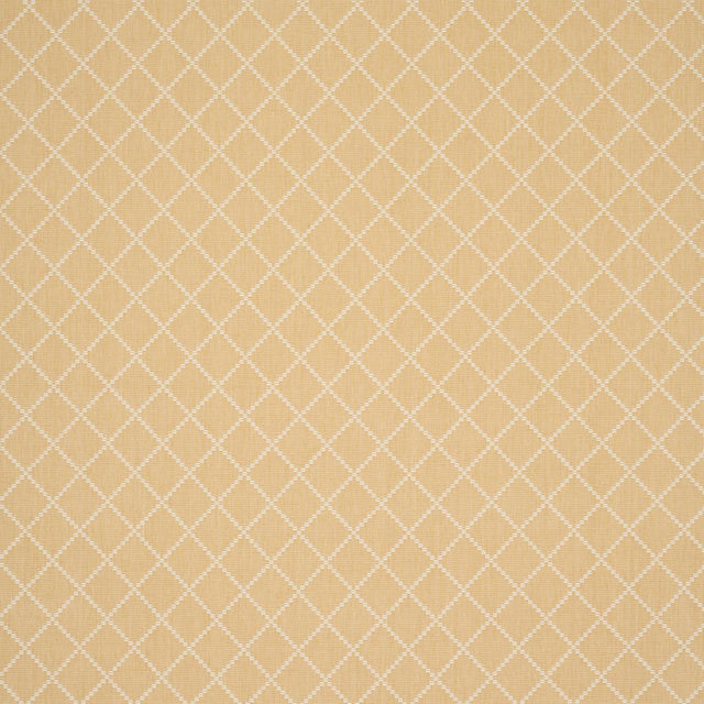 Schumacher Liam Yellow Fabric