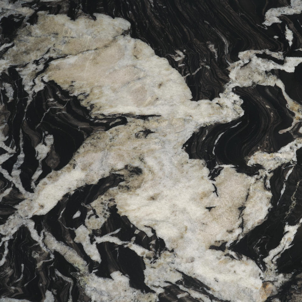 Mercana Marilyn Black Forest Marble Black Wood Pedestal Round Dining Table