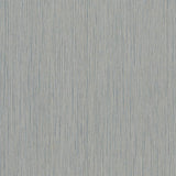 Ronald Redding Designs Atticus Navy String Wallpaper