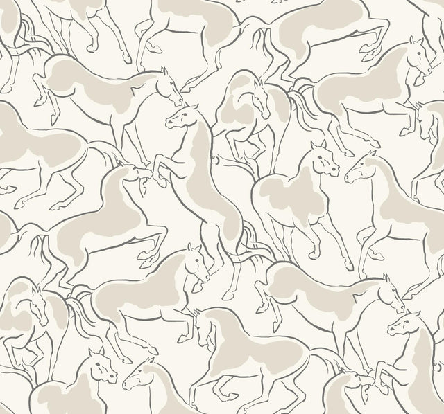 Ronald Redding Designs Dressage White Stallions Wallpaper