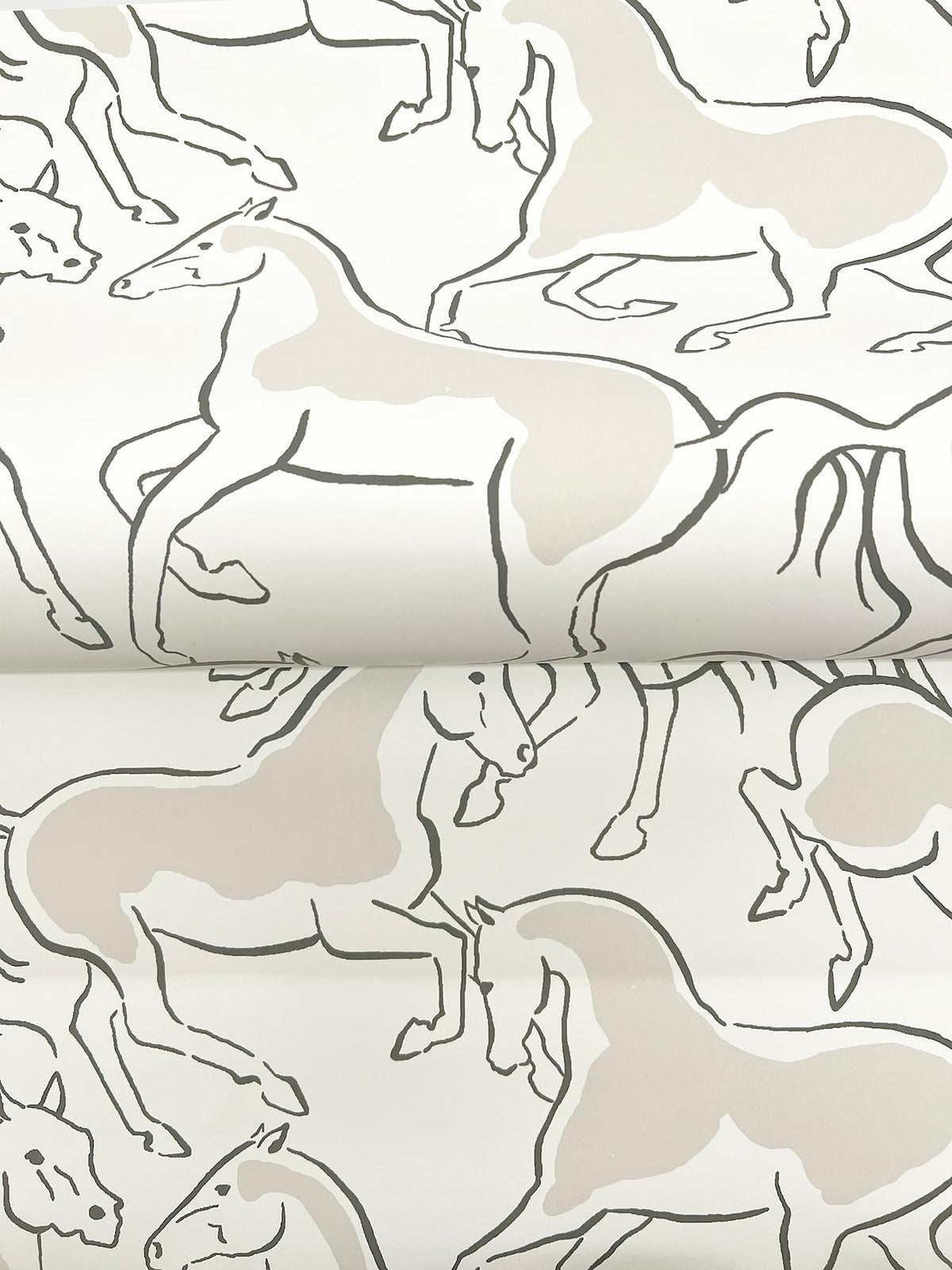 Ronald Redding Designs Dressage White Stallions Wallpaper