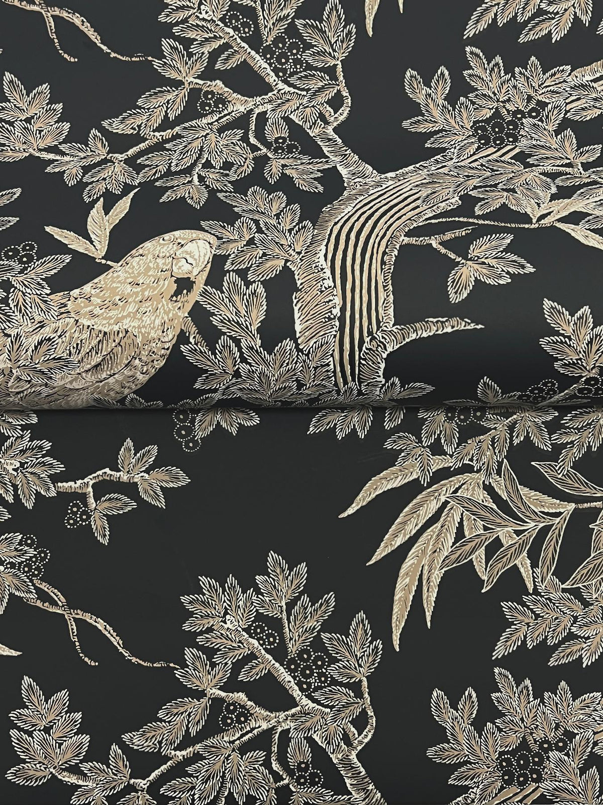 Ronald Redding Designs Regal Ridge Black Trailing Tree Wallpaper