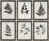 Livabliss Auden AUDE-002 1"H x 12"W x 15"D; 1"H x 12"W x 15"D; 1"H x 12"W x 15"D Art