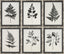 Livabliss Auden AUDE-002 1"H x 12"W x 15"D; 1"H x 12"W x 15"D; 1"H x 12"W x 15"D Art