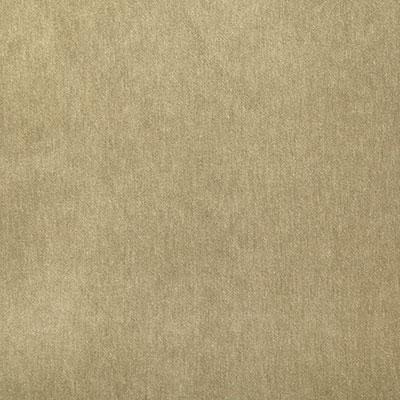 Pindler KIARA FAWN Fabric