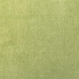 Pindler KIARA PALM Fabric