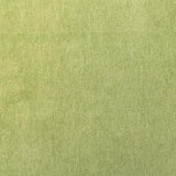 Pindler KIARA PALM Fabric