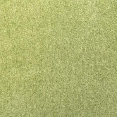 Pindler KIARA PALM Fabric