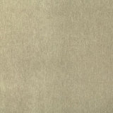 Pindler KIARA DRIFTWOOD Fabric