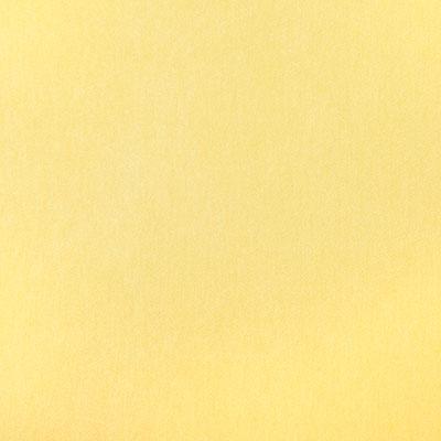 Pindler KIARA BUTTER Fabric
