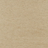 Brunschwig & Fils MONNERIE TEXTURE BEIGE Upholstery Fabric