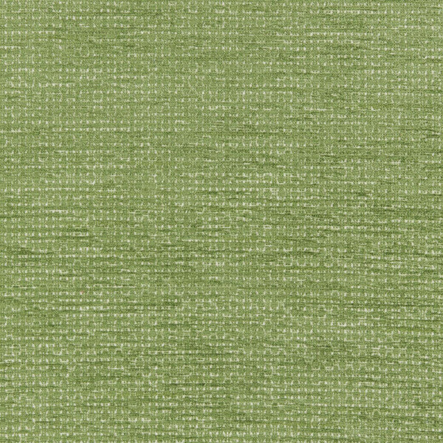 Brunschwig & Fils MONNERIE TEXTURE GREEN Upholstery Fabric