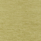 Brunschwig & Fils MONNERIE TEXTURE LEAF Upholstery Fabric