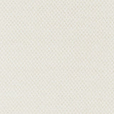 Brunschwig & Fils TREVOUX TEXTURE WHITE Upholstery Fabric