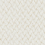Brunschwig & Fils TREVOUX TEXTURE WHITE Upholstery Fabric