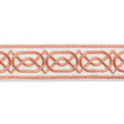 Lee Jofa SHIRE EMB TAPE TERRA Trim