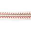 Lee Jofa TAPTON EMB TAPE CORAL Trim